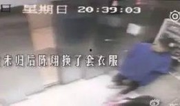 歌手陈翔爆料视频播放在线观看,揭秘娱乐圈幕后真相
